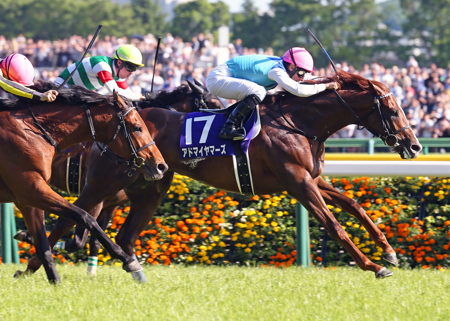 https://www.stallions.com.au/wp-content/uploads/2021/05/AdmireMars②（NHKMileCup（G1）・3YO）cropped-1.jpg